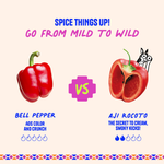 Rocoto Pepper