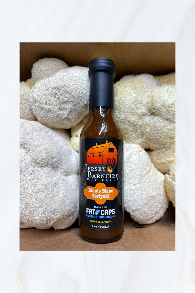 Lion’s Mane Teriyaki 